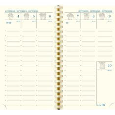 Recharge pour Agenda SAD 16S - 1 semaine sur 2 pages - 16 mois - 9 x 16 cm - Exacompta