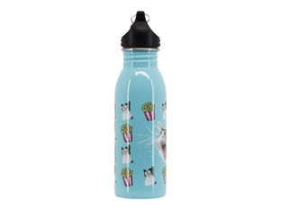 Oh My Pop! ANGRY CAT - Gourde bouteille d'eau - turquoise - 500 ml