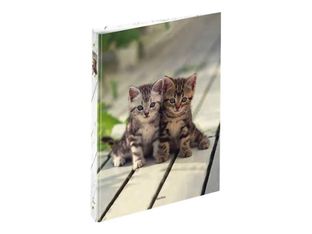 oberthur CHATONS TWINS - classeur à anneaux - pour A4