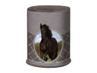 Oberthur Cheval Black - taille-crayon