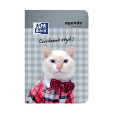 Agenda Funny Pets - 1 jour par page - 12 x 18 cm - chat stylé - Hamelin