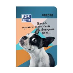 Agenda Funny Pets - 1 jour par page - 12 x 18 cm - chien voisin - Hamelin
