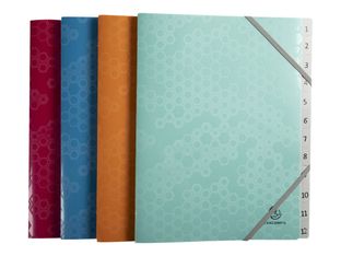 Exacompta MAÏA - Trieur 12 positions - disponible dans différentes couleurs