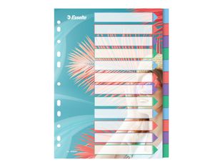 Esselte Colour'Breeze - Intercalaire 12 positions - A4 - polypropylène multicolore