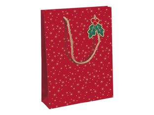 Clairefontaine - Sac cadeau kraft - holly rouge et vert - 26,5 cm x 14 cm x 33 cm