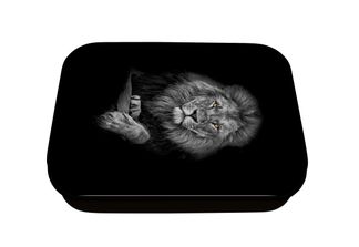 Boite a tout Lion - 11 x 8 cm - Oberthur