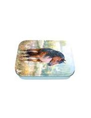 Boîte à bons points cheval brun - Oberthur