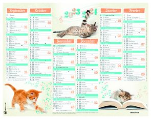 Calendrier Chatons - 7 mois par face - 21 x 26,5 cm - Oberthur