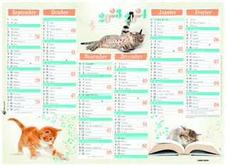 Calendrier Chatons - 7 mois par face - 40,5 x 55 cm - Oberthur