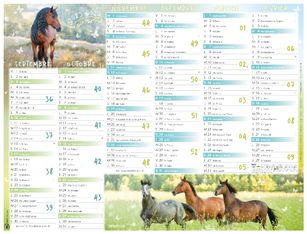 Calendrier Cheval - 7 mois par face - 40,5 x 55 cm - Oberthur