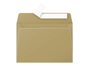 Pollen - 20 enveloppes auto-adhésives (114 x 162 mm) - or 