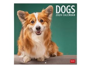 Legami - Calendrier mensuel - 30 x 29 cm - chiens
