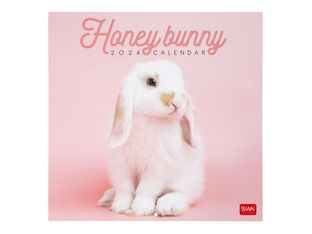 Legami - Calendrier mensuel - 30 x 29 cm - honey bunny