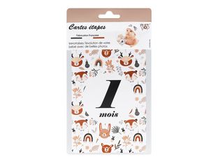 Color Pop - 12 Cartes évolution 1ère année enfant - 10 x 15 cm