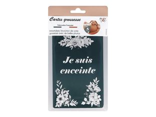 Color Pop - 13 cartes évolution grossesse - 10 x 15 cm