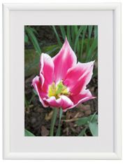 Cadre photo plastique WALTHER "Galeria" pour photo 7 x 10 cm coloris blanc