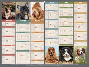 Calendrier bancaire illustré année civile BOUCHUT "Humour chien Medium" 32 x 42 cm Pefc 70 %