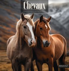 Calendrier illustré BOUCHUT 30 x 30 cm CHEVAL Pefc 70 %