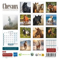 Calendrier illustré BOUCHUT 15 x 15 cm CHEVAL Pefc 70 %