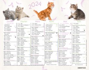 Mini calendrier illustré - 6 mois par face - 13,5 x 17,5 cm - différents modèles disponibles - Oberthur