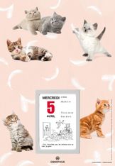 Oberthur - Plaque nova avec bloc éphéméride illustrée - 18 x 26 cm - disponible dans différents modèles