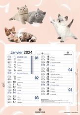 Calendrier mensuel en papier sur plaque nova - 18 x 26 cm - différents modèles disponibles - Oberthur