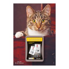 Lecas Nature - Plaque avec bloc éphéméride humoristique - 17 x 25 cm - chat