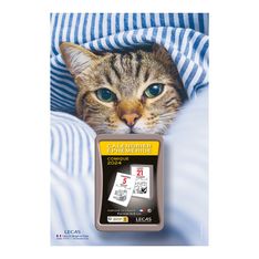 Lecas Nature - Plaque avec bloc éphéméride humoristique - 17 x 25 cm - chat 2