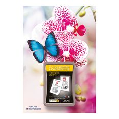 Lecas Nature - Plaque avec bloc éphéméride humoristique - 17 x 25 cm - papillon