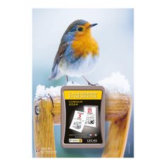 Lecas Nature - Plaque avec bloc éphéméride humoristique - 17 x 25 cm - oiseau