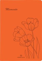 Rio - répertoire 25 - 3 couleurs