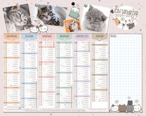 Calendrier Chatons - 6 mois par face - 21 x 26,5 cm - Bouchut