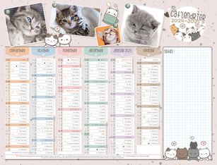 Calendrier Chatons - 6 mois par face - 32 x 42 cm - Bouchut