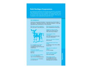 Le dictionnaire Larousse Junior poche - CE / CM
