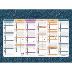 Calendrier illustré Mini Labo - 6 mois par face - 17 x 13 cm - Exacompta
