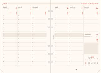 Oberthur - Recharge pour organiseur - 1 semaine sur 2 pages (semainier français) - 14,5 x 23,5 cm