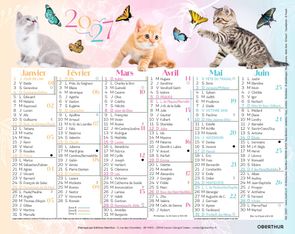 Mini calendrier illustré - 6 mois par face - 13,5 x 17,5 cm - différents modèles disponibles - Oberthur