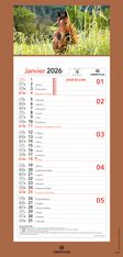 Calendrier mensuel en papier sur plaque illustrée - 16 x 33 cm - différents modèles disponibles - Oberthur