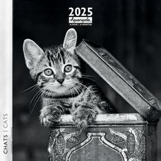 Calendrier mensuel 30x30 cm - 16 mois - Chats N&B