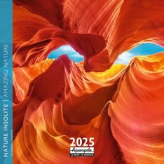 Calendrier mensuel 30x30 cm - 16 mois - Nature insolite