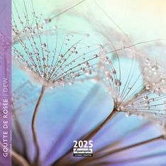 Calendrier mensuel 16x16 cm - 16 mois - Goutte de rosée