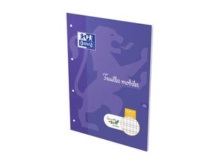 HOLDHAM - 50 feuilles mobiles Dys perforées - 100 pages - A4 - ligné 2 mm