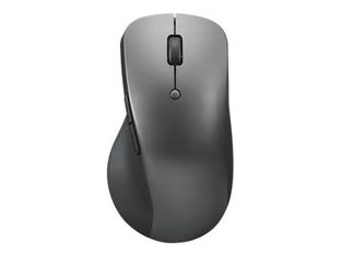Lenovo Professional - Souris sans fil - 6 boutons - gris 