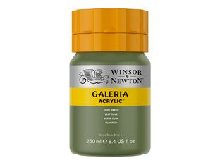 Winsor & Newton Galeria - Peinture - peinture acrylique - vert olive - semi-transparent - 250 ml