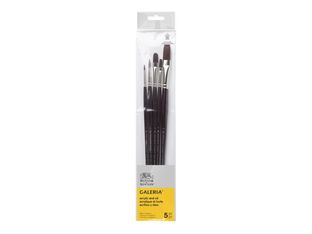 Winsor & Newton Galeria - Lot de pinceaux - 5 parties - usé bombé, rond, plat - taille : 2, 6, 4, 14, 8