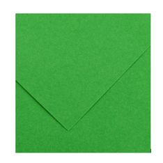 CANSON Iris Vivaldi - Papier Dessin Couleur - Lisse - 120 g/m² - Feuille - 50x65cm - Vert Franc