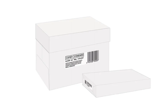 Papier blanc - A4 (210 x 297 mm) - 80 g/m² - 2500 feuilles (carton de 5 ramettes)