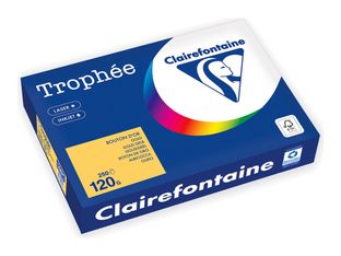 Clairefontaine Trophée - Papier - or - A4 (210 x 297 mm) - 120 g/m² - Ramette de 250 feuilles 