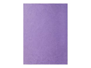 Clairefontaine - Papier - 650 x 950 mm - 10 feuilles - violet - 25 g/m² - mulberry paper
