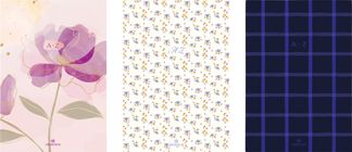 Bonn - répertoire 25 - 3 décors